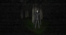 Slender